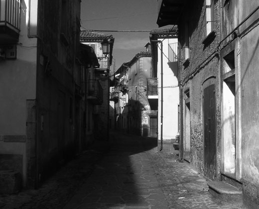 Il profumo del silenzio serra san bruno